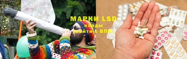 гидропоника Алзамай