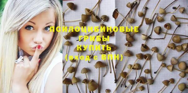 гидропоника Алзамай