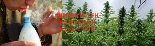 гидропоника Алзамай