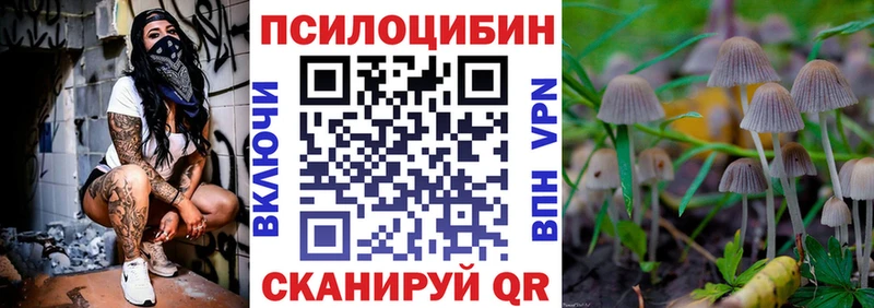 купить  цена  Звенигово  Псилоцибиновые грибы ЛСД 