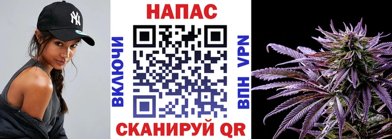 omg   Звенигово  Шишки марихуана планчик 